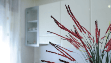 APARTAMENT STRADA XXX GENNAIO – DALIA - (CASA VACANȚĂ EDERA)