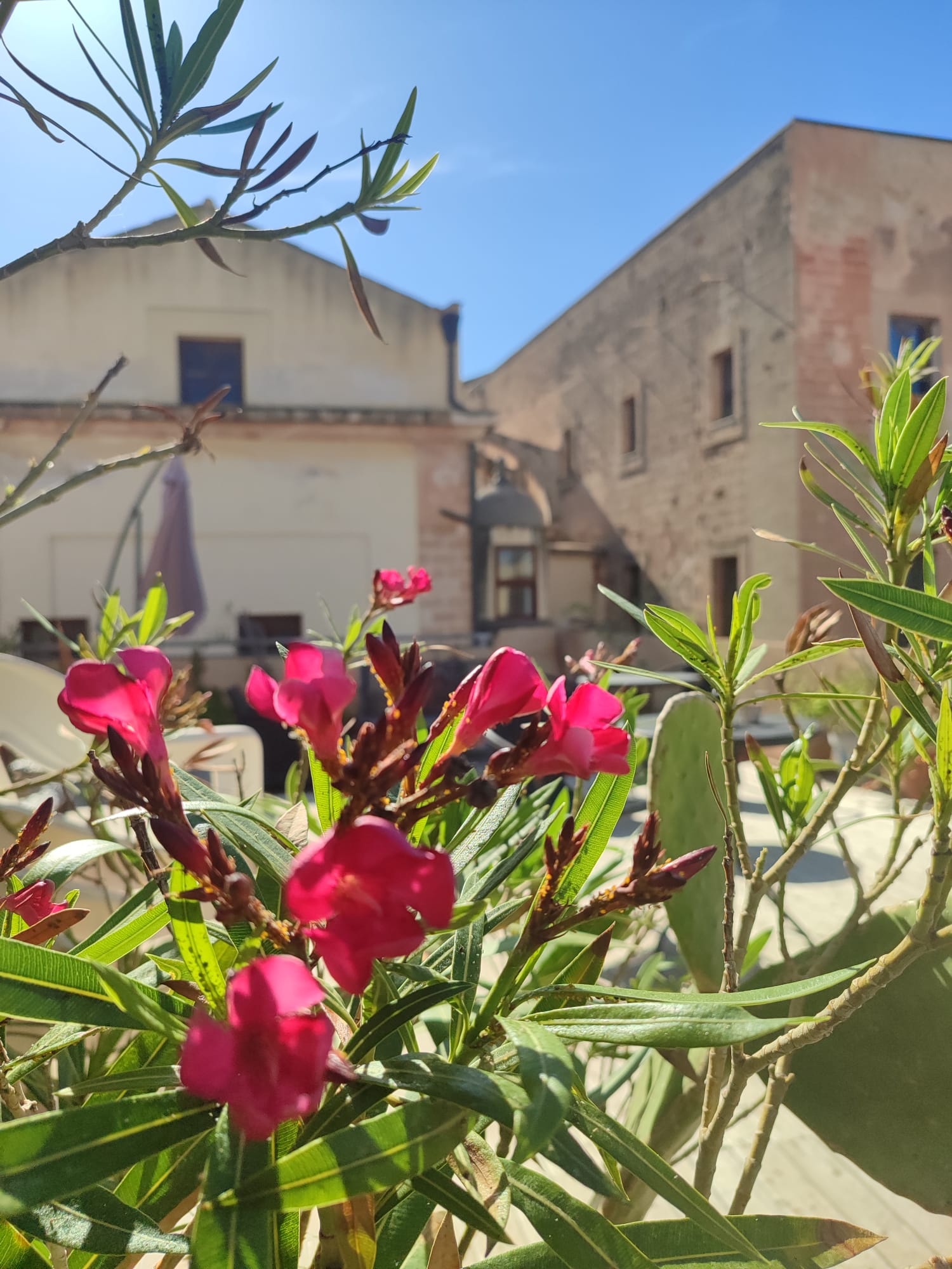 Apartmány Angelo – Palazzo Malati – Jednopokojový apartmán